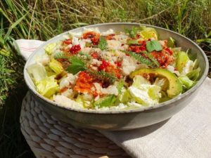 Ayurveda Sommer Salat 